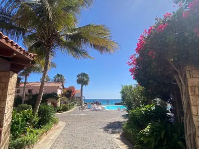 a palm tree sitting next to a swimming pool at Porto Antigo 1 - Three bedroom, pool & wifi in Santa Maria