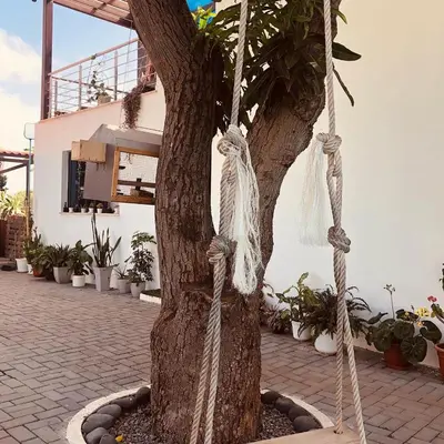a tree with ropes tied to a tree at Finca Pedra Molar in Órgãos