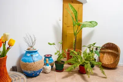 a group of potted plants sitting on a table at Relaxing Blue Flat near beach! in Calheta Do Maio