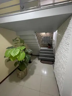 a hallway with stairs and a potted plant at Isa House - Private Rooms in a Shared Duplex in Praia