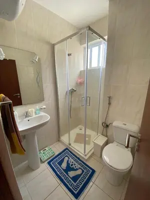 a bathroom with a shower and a toilet and a sink at Apartamento Santos in Ribeira Grande