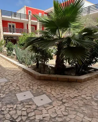 a palm tree in front of a building at KatlantiK Estoril Deluxe in Sal Rei