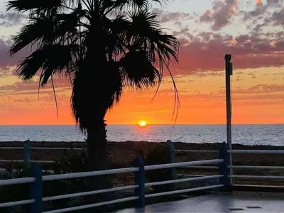a palm tree in front of a fence with a sunset at Vila Paradise Sea & Swimming Pool View in Beirona