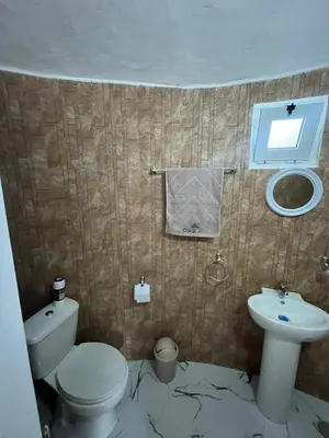 a bathroom with a white toilet and a sink at Casa Adriano & Filomena in Portela