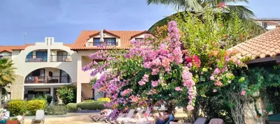 a bunch of flowers in front of a building at Apartamento Porto Antigo 2 in Santa Maria