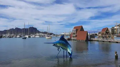 a statue of a shark in the water at Casa Sofia in Mindelo