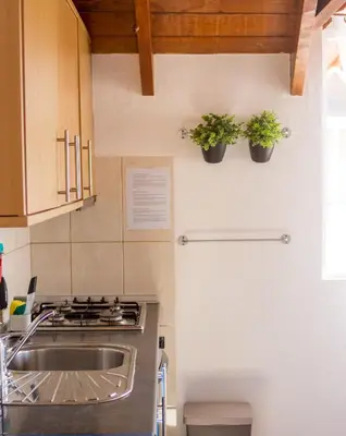 a kitchen with two potted plants on the wall at Calma de Sal Santana Ocean View Apartment in Santa Maria