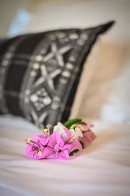 a bunch of purple flowers sitting on a bed at Encosta Azul in Cidade Velha
