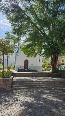 a small white building with a tree in front of it at Casa Medina in Fajãzinha