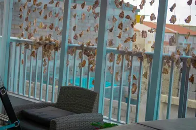 a balcony with a chair and a swimming pool at Hotel Xinte na casa in Tarrafal