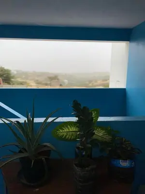 two plants sitting on a table in front of a window at Apartamento T2 Equipado e Aconchegante. in Praia