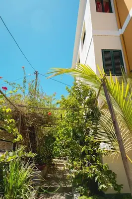 a building with a bunch of plants in front of it at JT Sea View Apartment T3 in Praia
