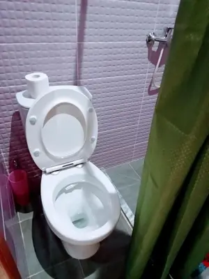 a white toilet in a bathroom with a green curtain at Niclas ApartamentoT1 in Praia