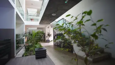 a hallway with plants and stairs in a building at Geams Sal Suite in Santa Maria