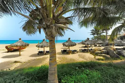 a beach with chairs and umbrellas and a palm tree at T1 Vista Mar - Porto Antigo 3 in Santa Maria