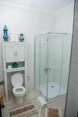 a bathroom with a glass shower and a toilet at Zeyden Place Apt 2 in Praia