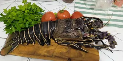 a lobster on a cutting board with tomatoes and parsley at Kaza Papaya - Papaya House in Tarrafal