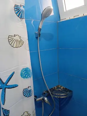 a shower in a bathroom with a blue wall at Kaza Papaya - Papaya House in Tarrafal
