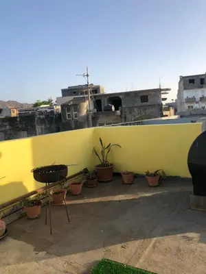 a row of potted plants against a yellow wall at Simple sunlight apartment - Assomada in Assomada