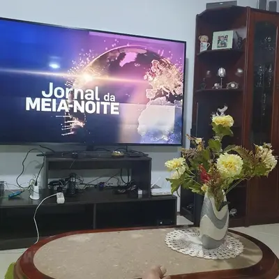 a vase with flowers on a table in front of a tv at Gamboa Praia in Praia