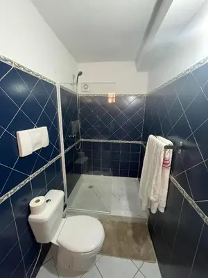 a blue tiled bathroom with a toilet and a shower at Santa Maria Homely Flat in Santa Maria