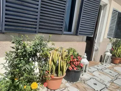 a group of potted plants sitting on a patio at Casa Tota in Assomada