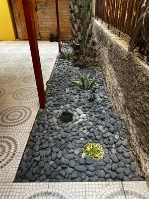 a garden with rocks and plants on a patio at sweet single in Santa Maria