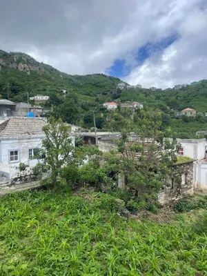 an old house on the side of a hill at Villa Vicente Casa Soares in Vila Nova Sintra