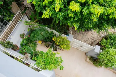 an overhead view of a garden with plants and trees at Bungavília house, Palmarejo in Praia