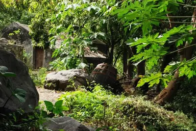 a garden with some rocks and trees and bushes at Self-catering Apartment w/ Terrace in Tarrafal