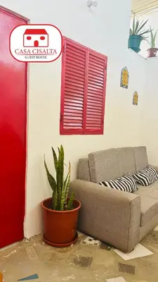 a living room with a couch and a plant at Casa Cisalta N4 - Quarto Compartilhado in Praia