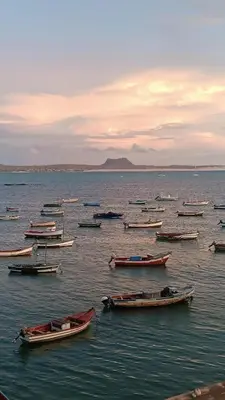 a group of boats in a large body of water at My Boavista 2 in Sal Rei