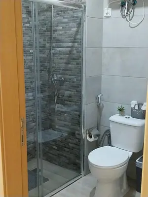 a bathroom with a toilet and a glass shower at Tity Apartments T2 in Santa Maria