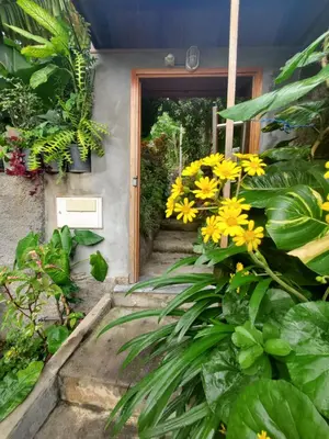 a bunch of yellow flowers in front of a door at Puntinha d'Djô in Caculi