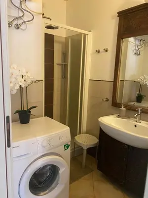 a bathroom with a washing machine and a sink at Greenland Tropical in Santa Maria