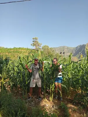 two men standing in a corn field at Bentub Home pousada in Ribeira Grande