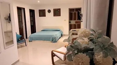 a bedroom with a bed and a plant in a room at Studio Cruz Espia in Mindelo