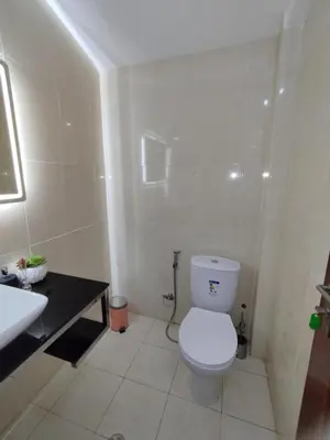 a bathroom with a white toilet and a sink at Apartamento T1, amplo e arrejado in Praia