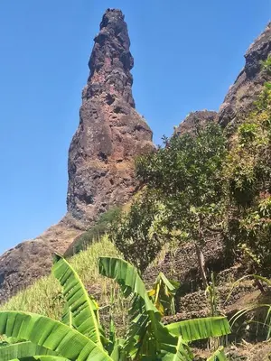 a rock tower on a hill with trees and plants at Casa Larinha in Ponta do Sol