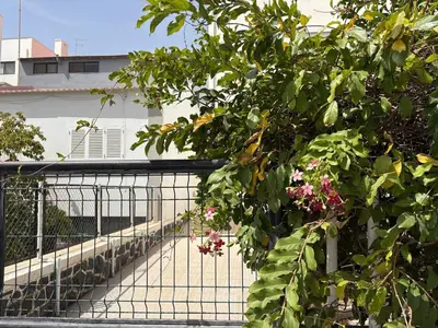 a tree with pink flowers in front of a fence at Prainha Beach House in Praia
