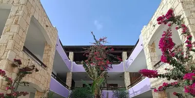a building with pink flowers in the courtyard at Ocean Breeze in Sal Rei