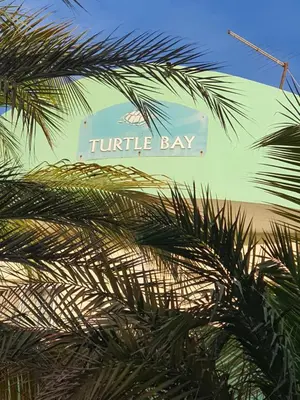 a sign that reads turtle bay behind a palm tree at Capo Verde Club - Ca Matteo in Santa Maria