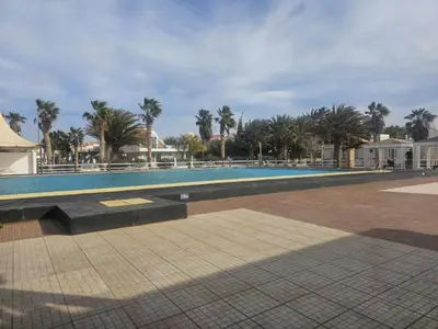 a large swimming pool with palm trees in the background at Coral Reef in Santa Maria