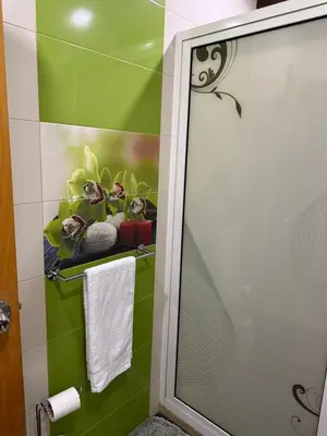 a bathroom with a green wall with a shelf with plants at Casa Cucuia in Praia