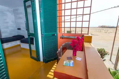 a bench with a vase of flowers on it at Surfactivity Guest House in Santa Maria