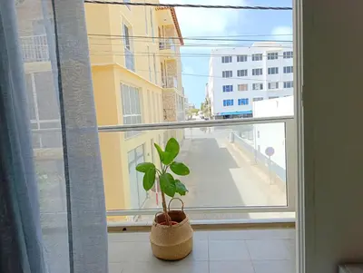 a plant in a pot sitting on a window sill at Boadream Casa Duria Porta Viola in Prainha