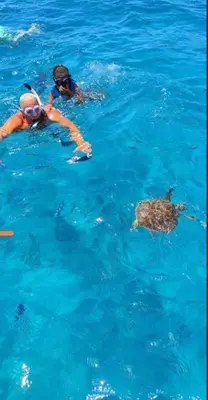 two people and a turtle in the water at Mira Mar Mindelo in Mindelo