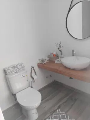 a bathroom with a white toilet and a sink at Quinta Achada Fazenda in São Tiago