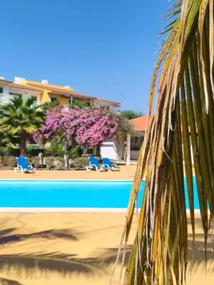 a palm tree in front of a swimming pool at HostySpot - Vila Verde Resort in Santa Maria