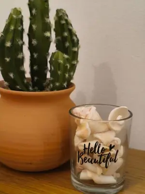 a glass with hello beautiful written on it next to a cactus at HostySpot - Vila Verde Resort in Santa Maria